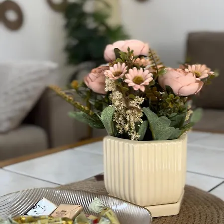 Styling * Novi Pazar